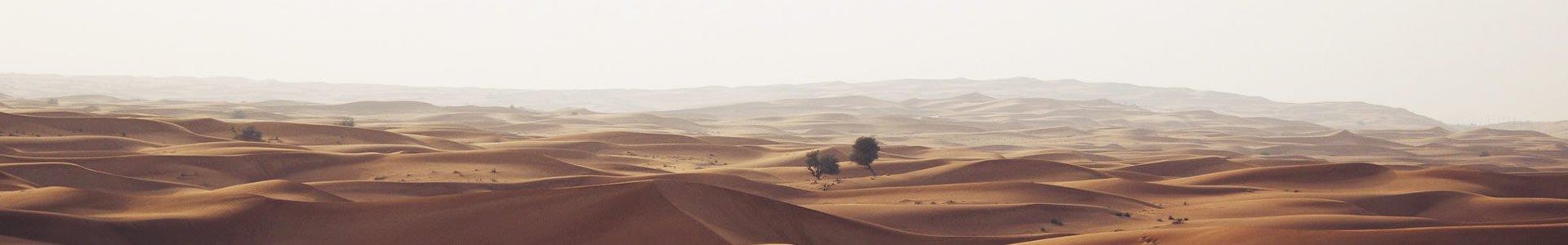 γʳƷ޹˾